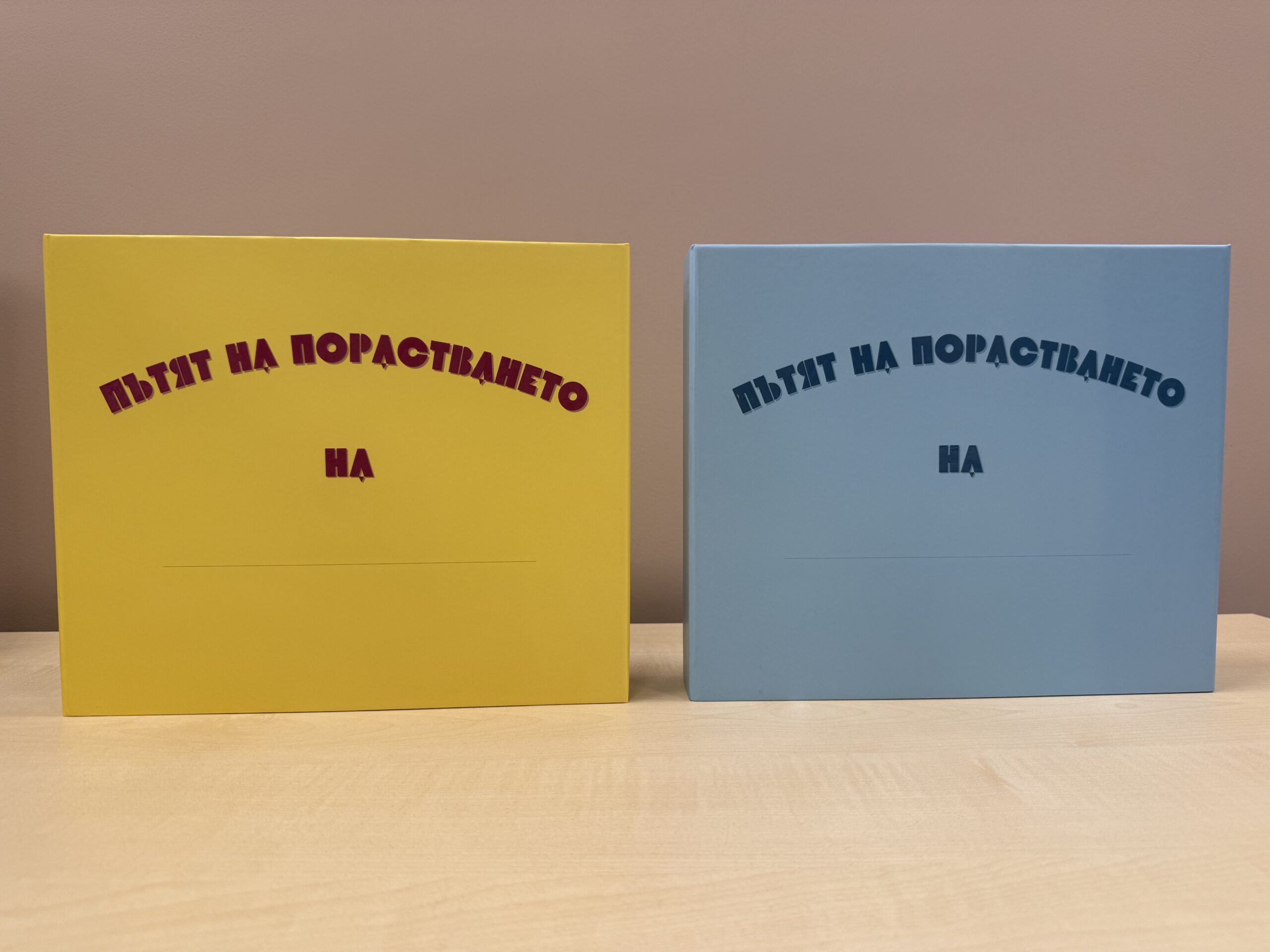 Луксозен дневник-албум Луксозен дневник-албум